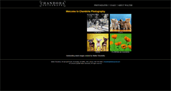 Desktop Screenshot of chandohaphotography.com