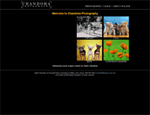 Tablet Screenshot of chandohaphotography.com
